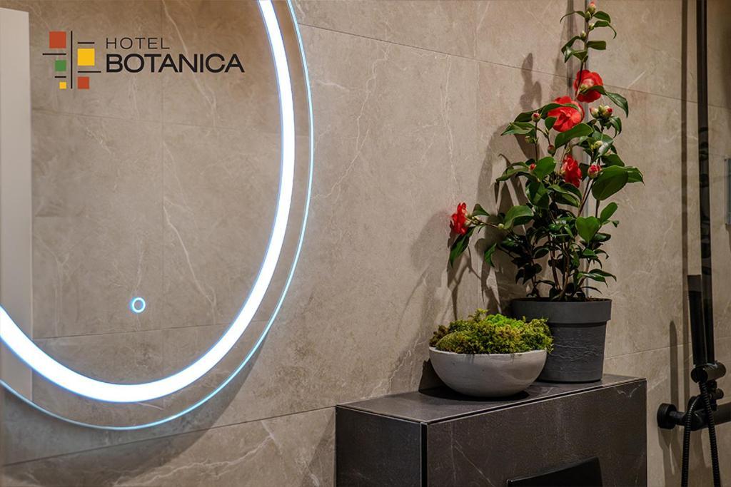 Botanica
